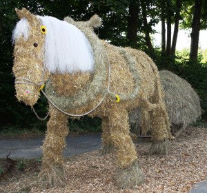 Pferd2